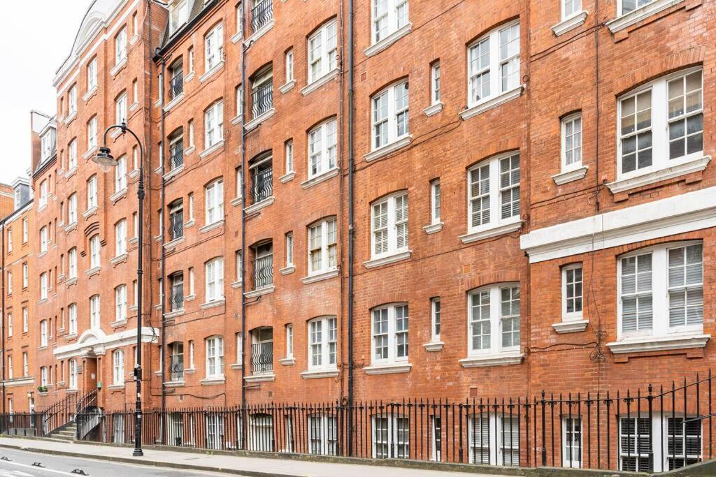 Cozy Apt In Central Londra Dış mekan fotoğraf