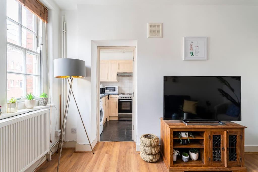 Cozy Apt In Central Londra Dış mekan fotoğraf